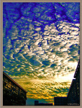 Another Sky From Window