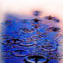 Water Droplets