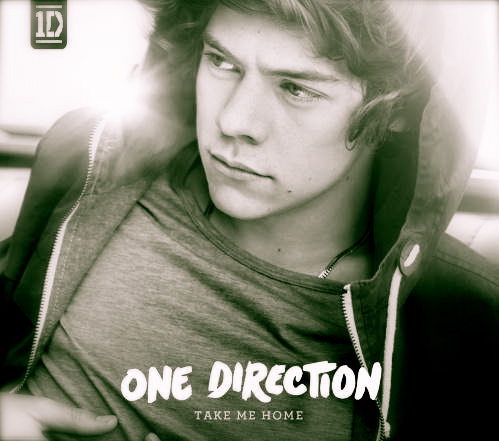 Take Me Home: Harry Styles