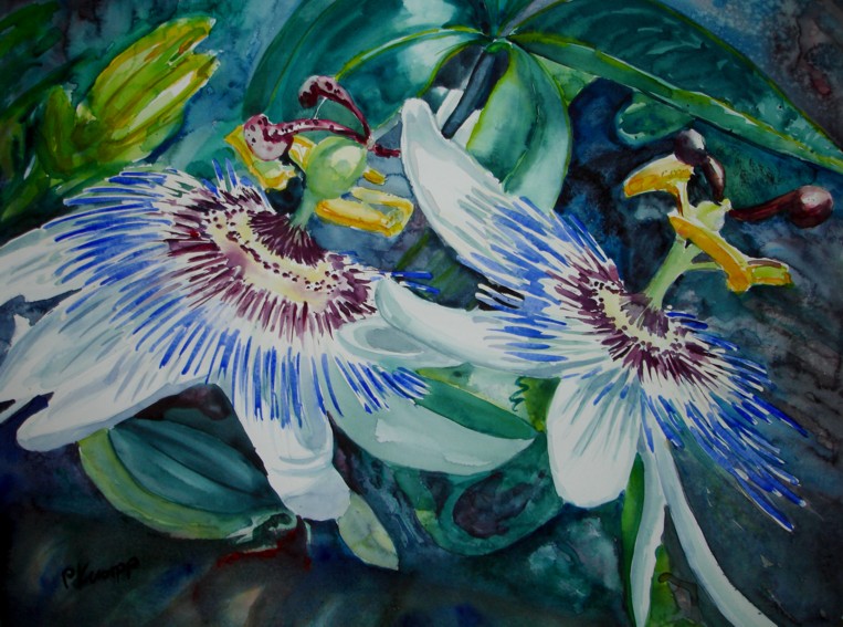 Two Passion Flowers