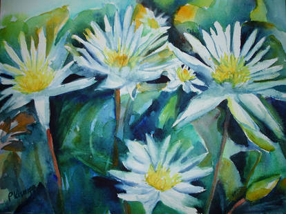 Water lilies 2