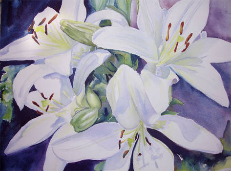 White Lilies