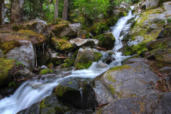 Evergreen Stream HDR