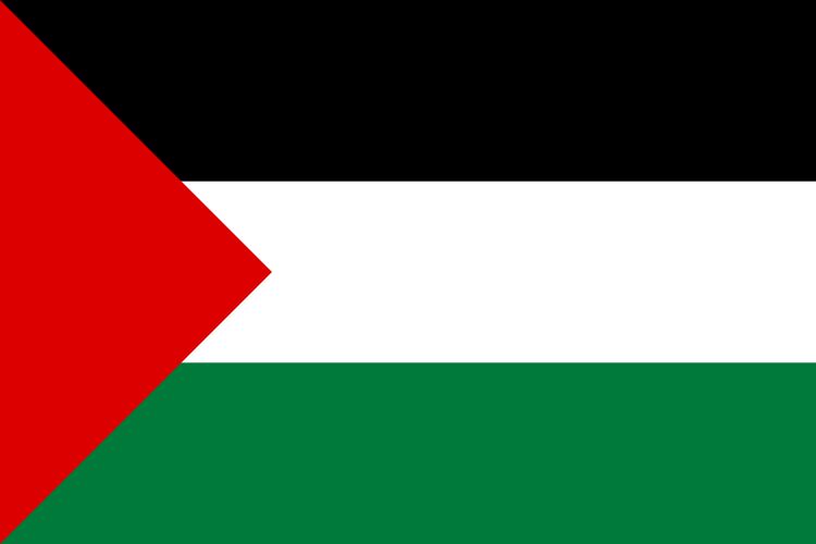 Flag Hejaz 1921-25 and Palestine (state) (2 by 3)