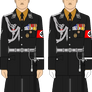 Himmler, 1940, SS (Allgemeine) uniform sample 2