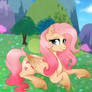 Fluttershy