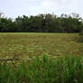 The Unseen Lake