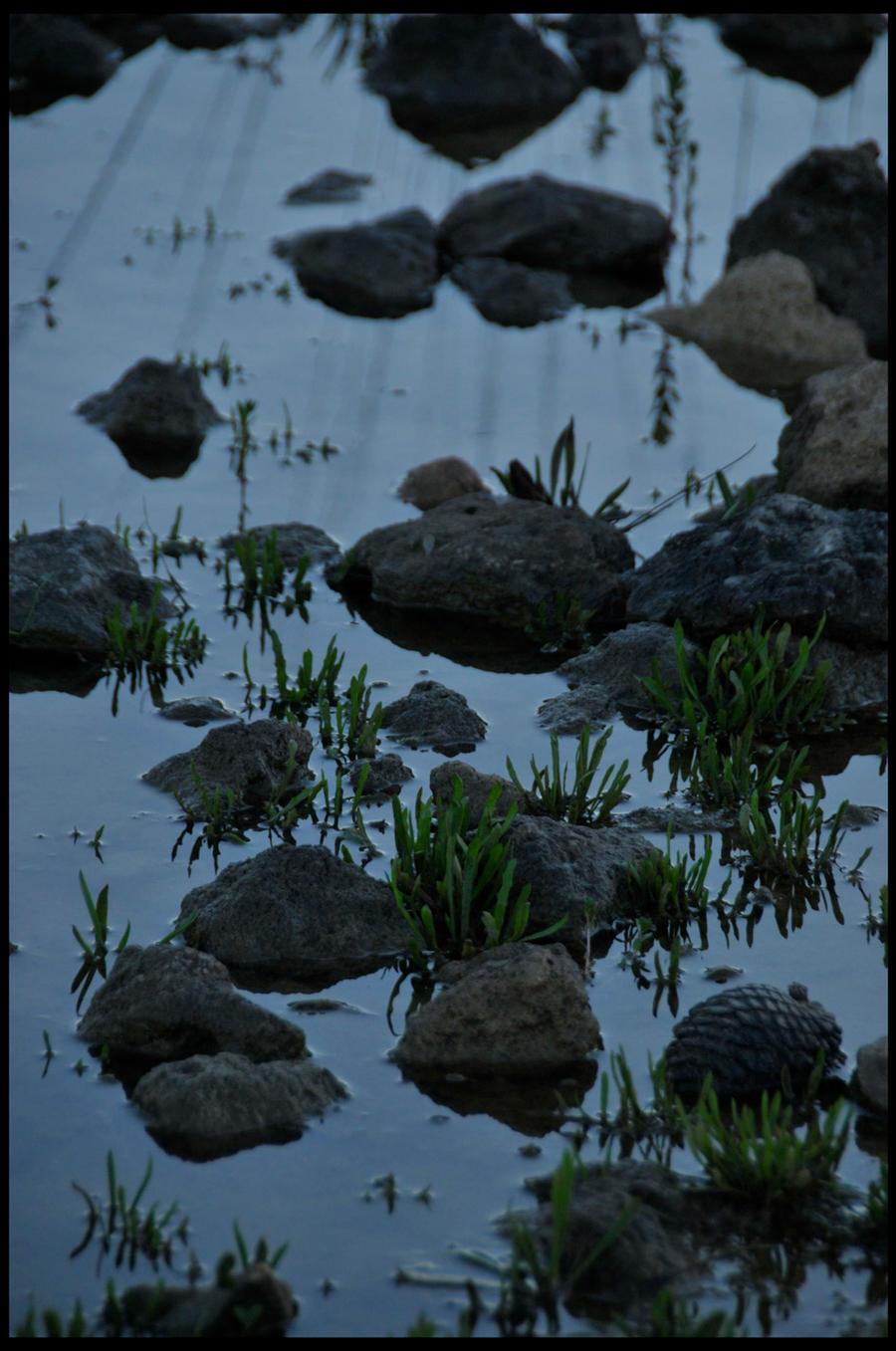 rock and water