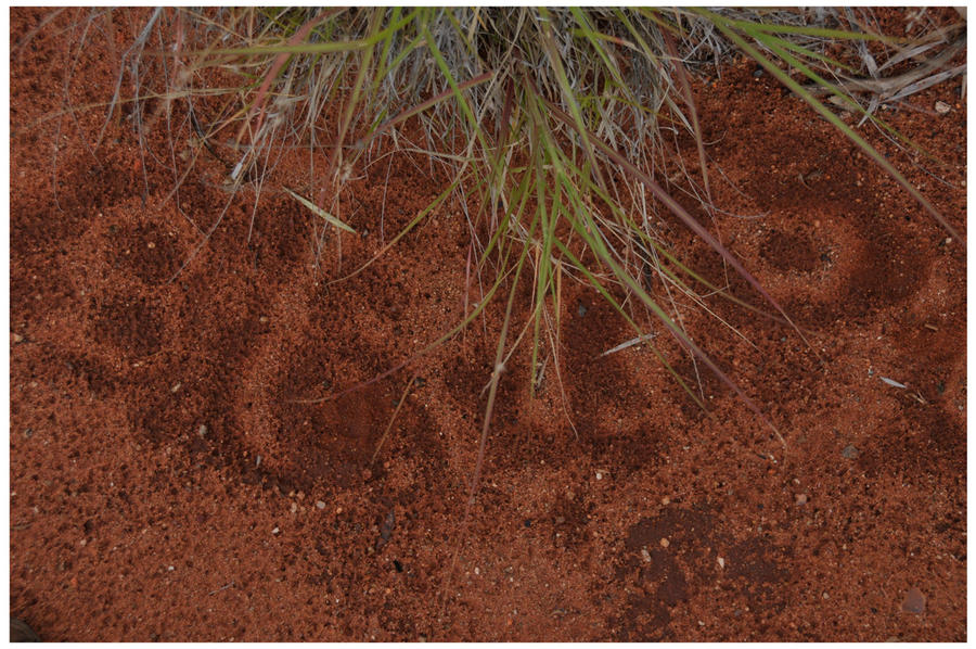 rain sand writing