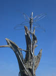 Dragonfly on Driftwood II by theforgery