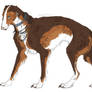 Borzoi sketch design