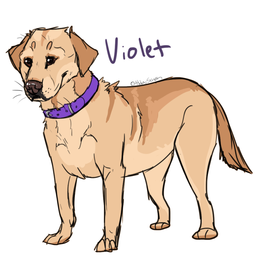 BSK's Violet