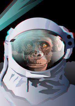 Lost Chimp in Space