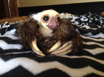 Resin head two toed sloth