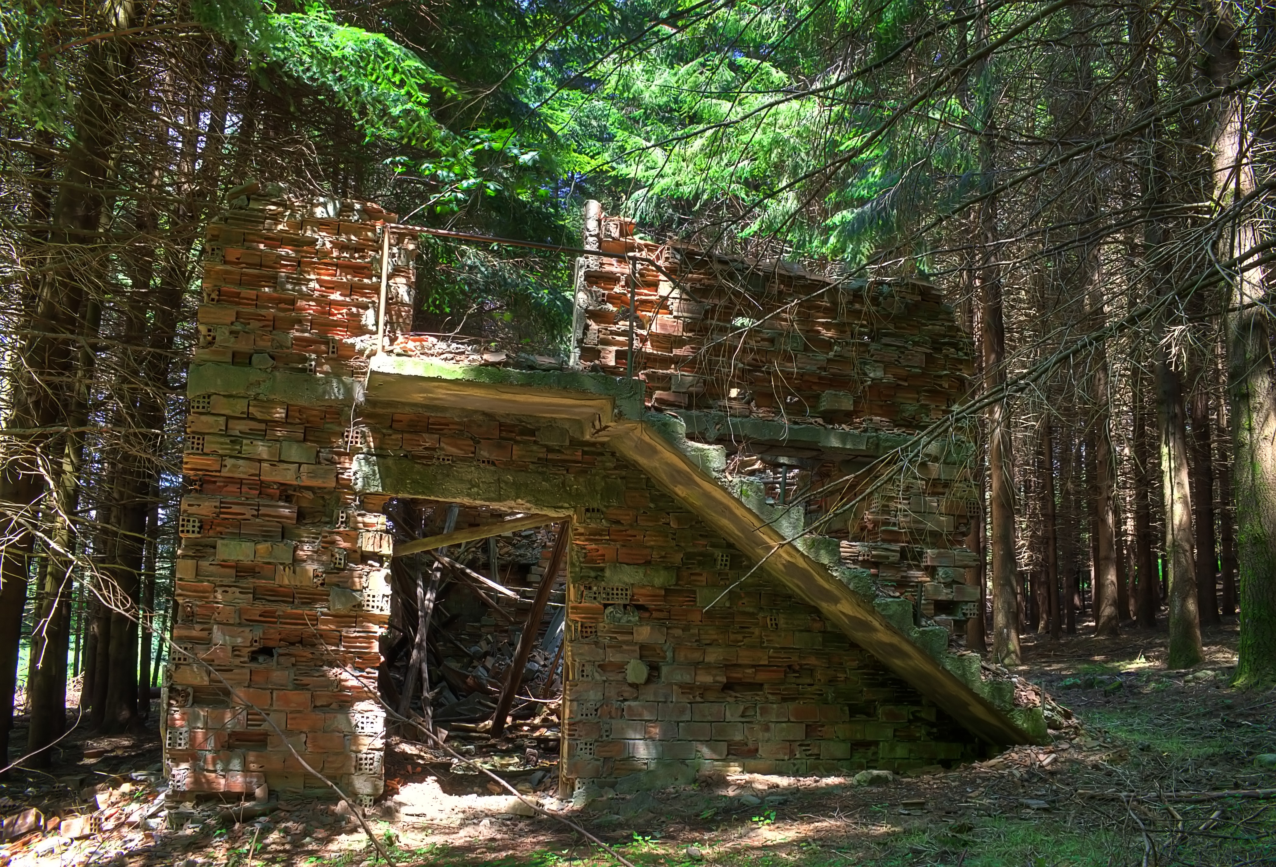 Construction in the woods - HDR