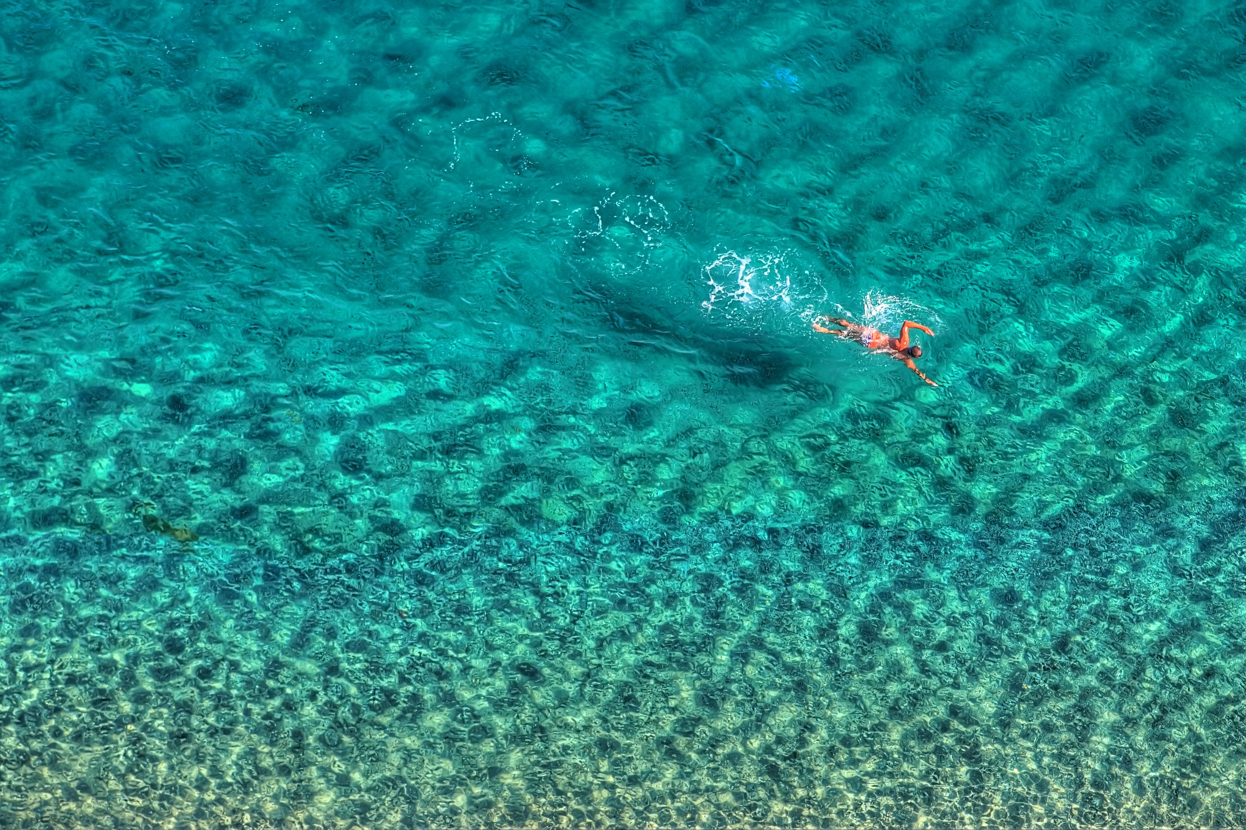 swimmer-HDR