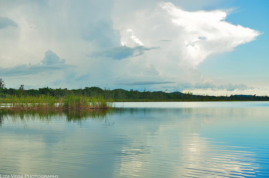 Laguna Tortuguero 2