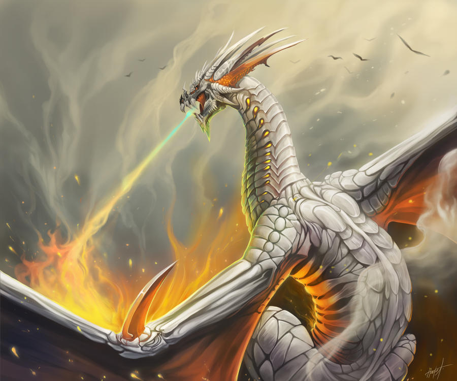 Silver Dragon by Clawed50 on DeviantArt