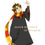 harry and Golden Snitch