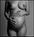 torso.... pregnant by scottchurch