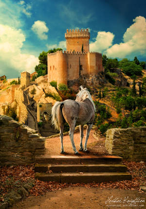 The Guard of the Castle by plutoplus1 The Guard of the Castle by plutoplus1