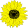 Sunflower - ''Lovely'' Text