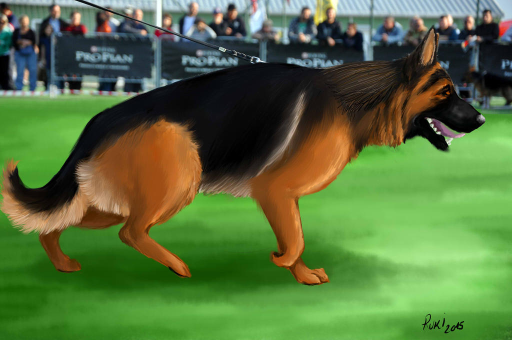 Deviantart Gs3d Gsd by RukiDoglover on DeviantArt