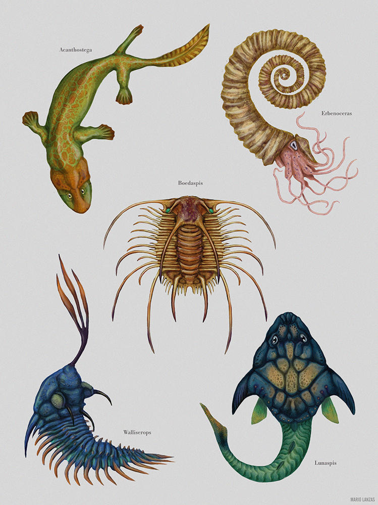 Devonian Creatures by MarioLanzas on DeviantArt