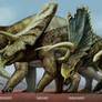 CERATOPSIA. size chart