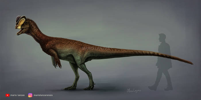 Explore the Best Dilophosaurus Art | DeviantArt