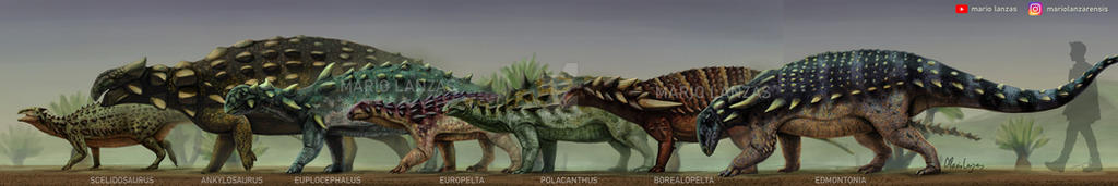 ARMOURED DINOSAURS Part of the Thyreophora dinosau