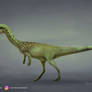 COELOPHYSIS 2020