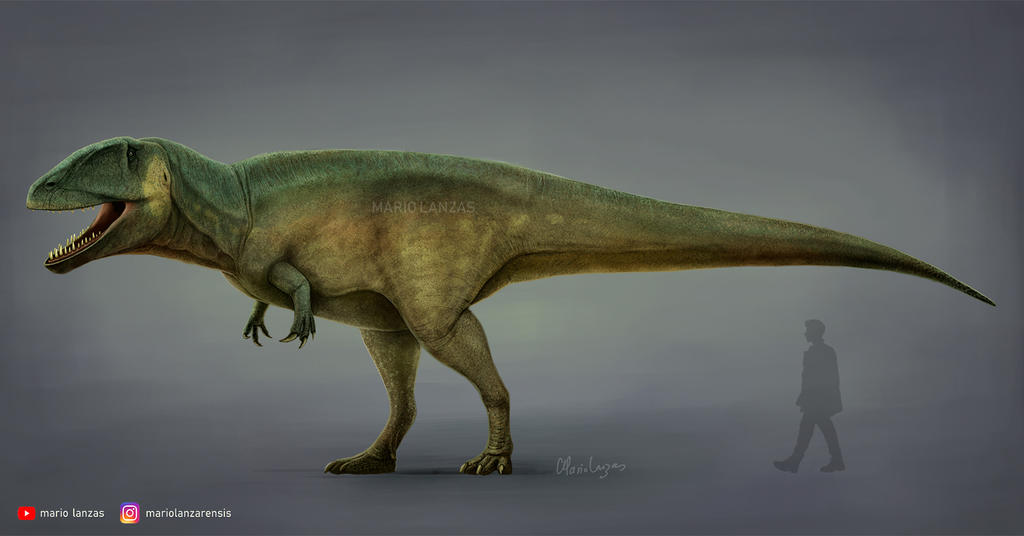 Carcharodontosaurus saharicus - O Rei do Deserto Imagem 1 - Carcharodontosaurus saharicus