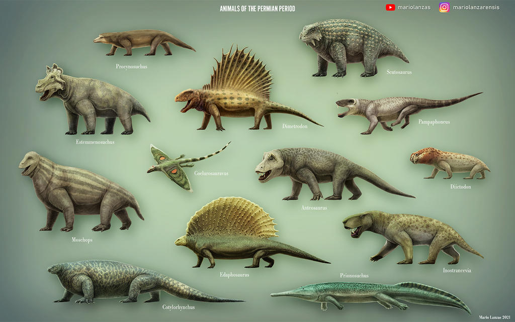 Animals of the Permian Period by MarioLanzas on DeviantArt Animals of the Permian Period by MarioLanzas on DeviantArt