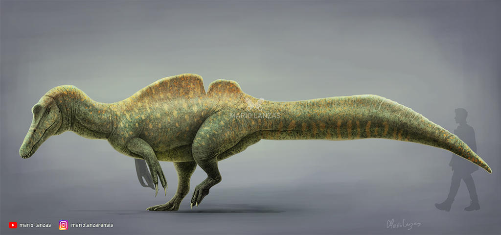 Deinosuchus by MarioLanzas on DeviantArt