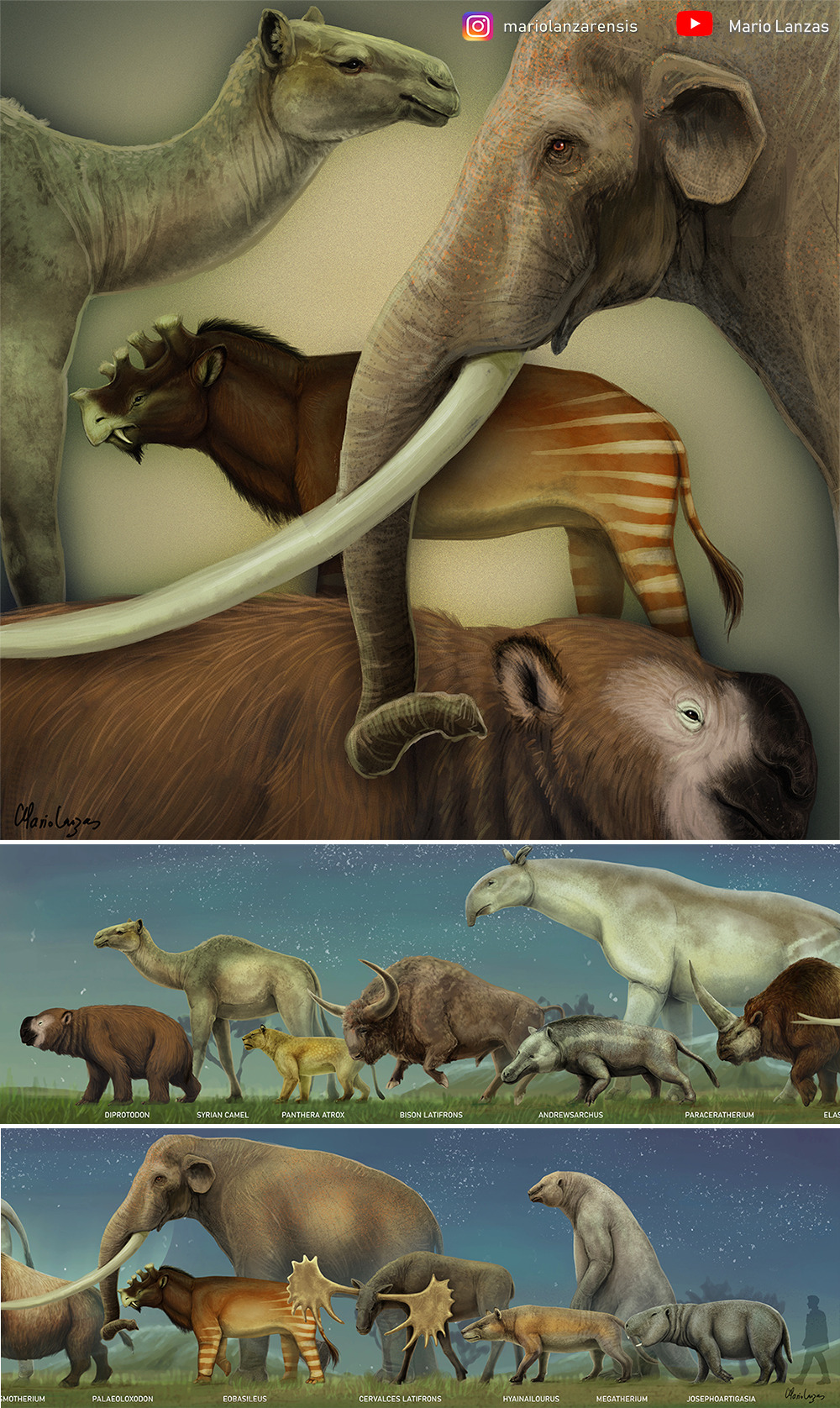 Largest Extincr Land Mammals by MarioLanzas on DeviantArt Largest Extincr Land Mammals by MarioLanzas on DeviantArt