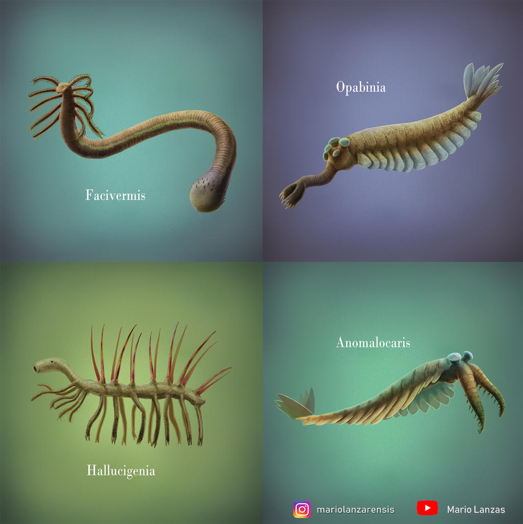 Cambrian Explosion by MarioLanzas on DeviantArt Cambrian Explosion by MarioLanzas on DeviantArt