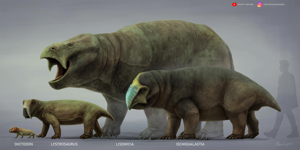 Dicynodontia by MarioLanzas on DeviantArt
