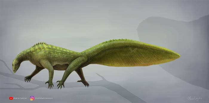 Hypuronector