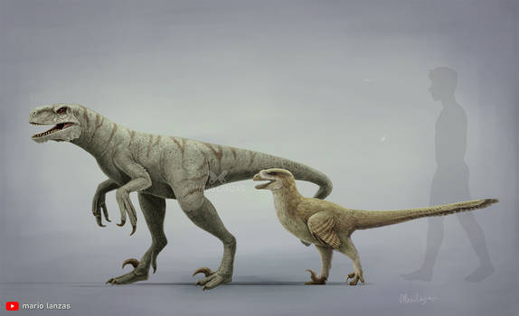 Atrociraptor