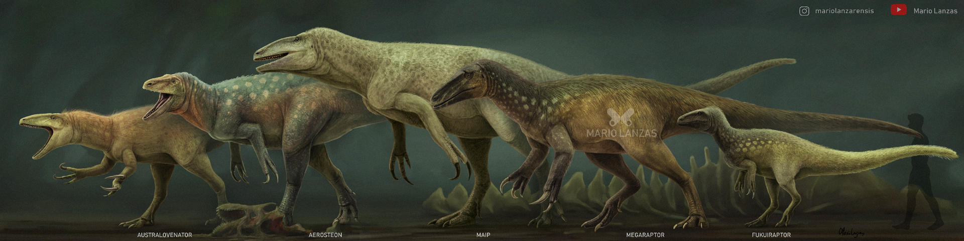 All Raptor Sizes Megaraptora size comparison by MarioLanzas on DeviantArt