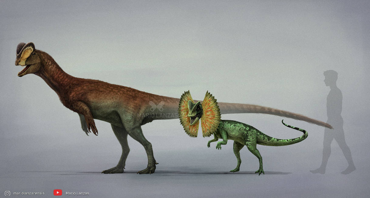 DILOPHOSAURUS By MarioLanzas On DeviantArt dilophosaurus-by-mariolanzas-on-deviantart