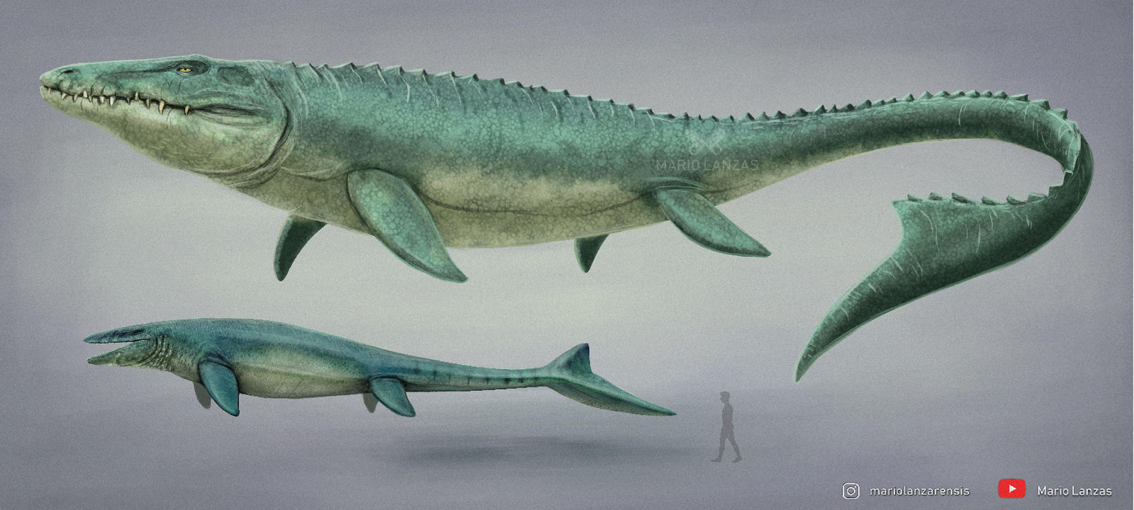 Mosasaurus by MarioLanzas on DeviantArt
