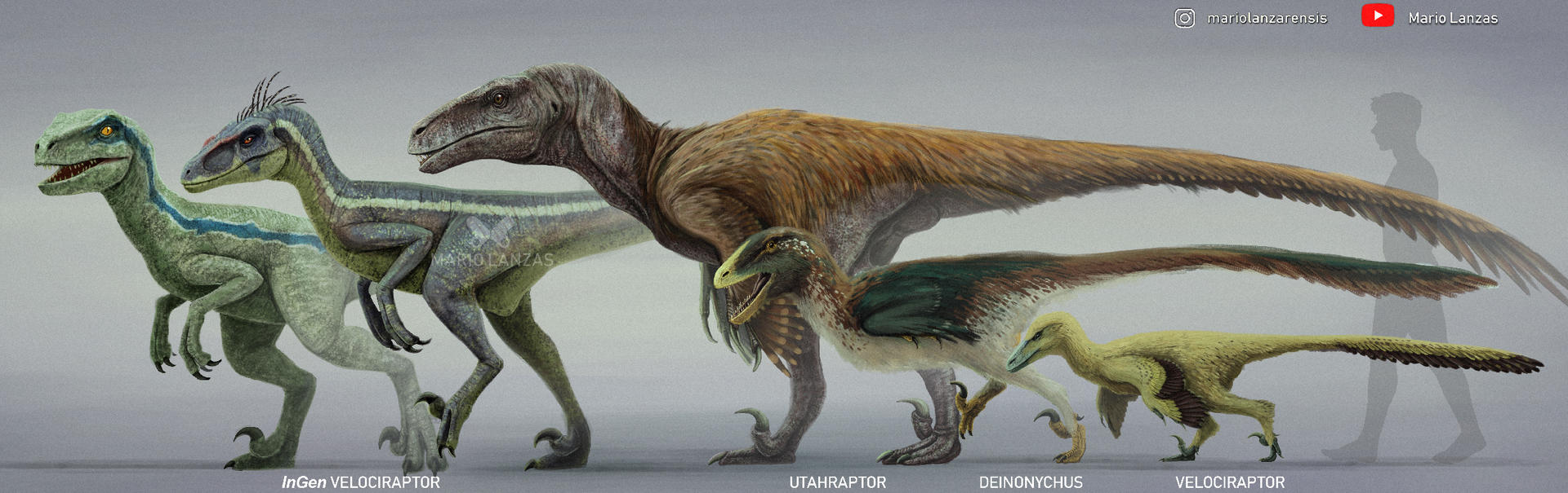 VELOCIRAPTOR. Jurassic Park and other relatives by MarioLanzas on ...