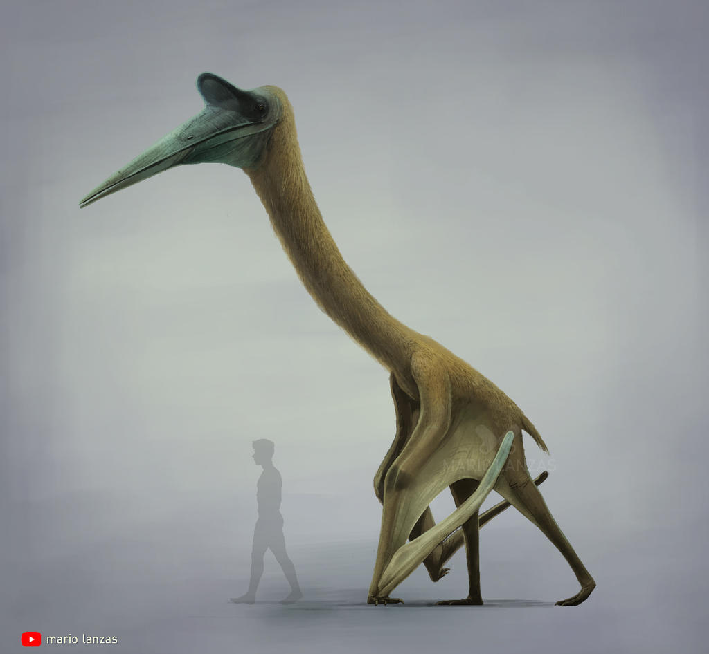 Quetzalcoatlus By MarioLanzas On DeviantArt quetzalcoatlus-by-mariolanzas-on-deviantart