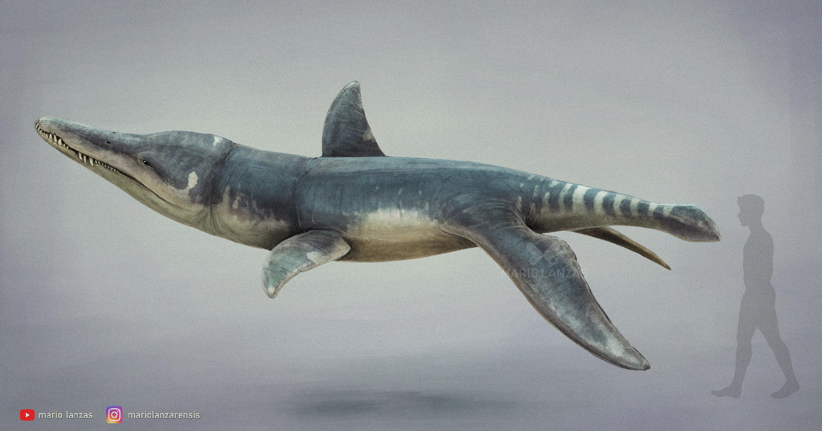 Liperodon Tree Liopleurodon by MarioLanzas on DeviantArt