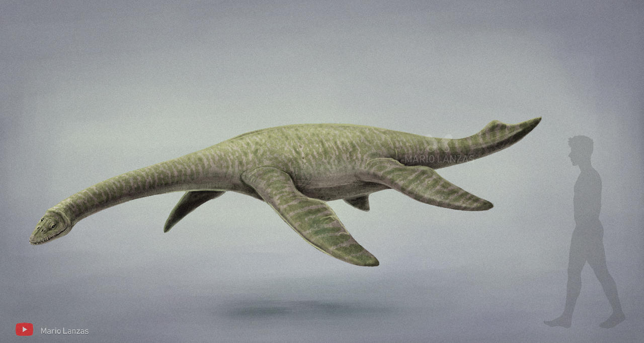 Cryptailurus Cryptoclidus by MarioLanzas on DeviantArt