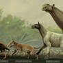Paleogene Animals Size Chart