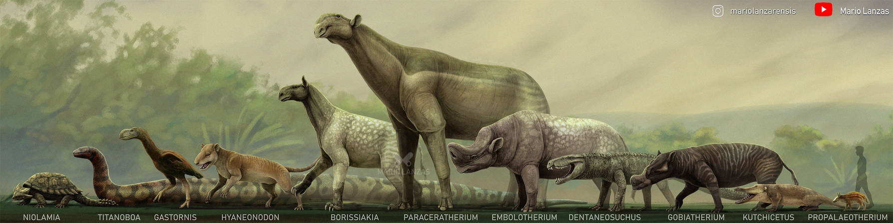 Poleogen Paleogene Animals Size Chart by MarioLanzas on DeviantArt