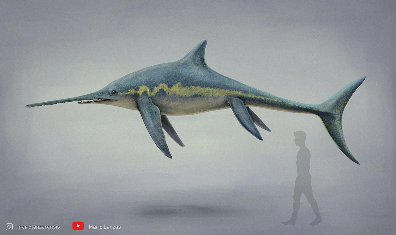 Eurhinosaurus By MarioLanzas On DeviantArt eurhinosaurus-by-mariolanzas-on-deviantart